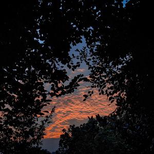 国产精品爆乳在线
