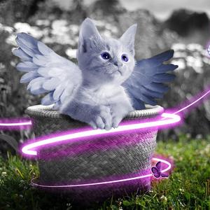 国产精品爆乳在线
